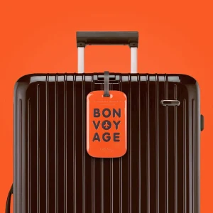 Étiquette bagage Bon Voyage Tag